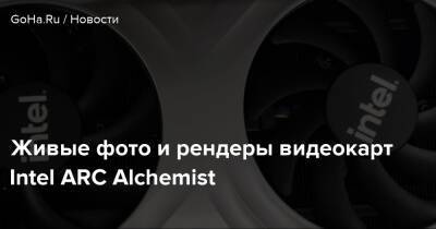 Живые фото и рендеры видеокарт Intel ARC Alchemist - goha.ru