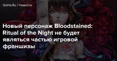 Новый персонаж Bloodstained: Ritual of the Night не будет являться частью игровой франшизы - goha.ru