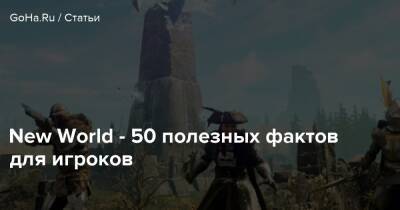 New World - 50 полезных фактов для игроков - goha.ru