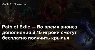 Path of Exile — Во время анонса дополнения 3.16 игроки смогут бесплатно получить крылья - goha.ru