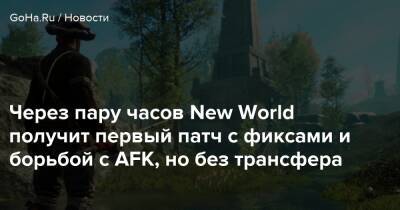 Через пару часов New World получит первый патч с фиксами и борьбой с AFK, но без трансфера - goha.ru
