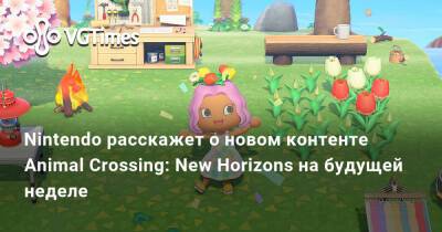 Nintendo расскажет о новом контенте Animal Crossing: New Horizons на будущей неделе - vgtimes.ru