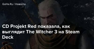 CD Projekt Red показала, как выглядит The Witcher 3 на Steam Deck - goha.ru