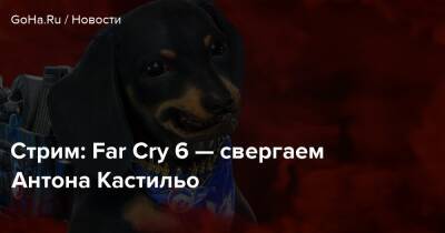 Антон Кастильо - Стрим: Far Cry 6 — свергаем Антона Кастильо - goha.ru - Сша - штат Монтана