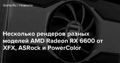 Несколько рендеров разных моделей AMD Radeon RX 6600 от XFX, ASRock и PowerColor - goha.ru