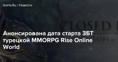 Анонсирована дата старта ЗБТ турецкой MMORPG Rise Online World - goha.ru