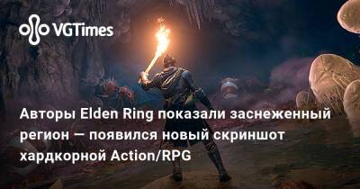 Авторы Elden Ring показали заснеженный регион — появился новый скриншот хардкорной Action/RPG - vgtimes.ru - Корея