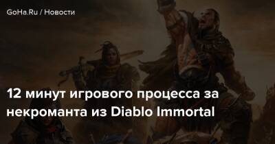 12 минут игрового процесса за некроманта из Diablo Immortal - goha.ru - Австралия - Канада