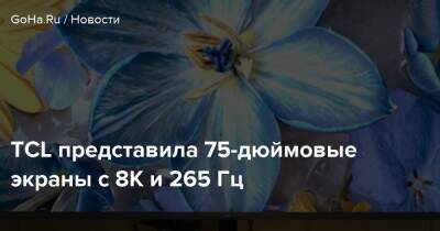 TCL представила 75-дюймовые экраны с 8К и 265 Гц - goha.ru