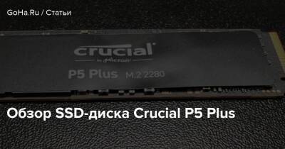 Обзор SSD-диска Crucial P5 Plus - goha.ru - Respawn