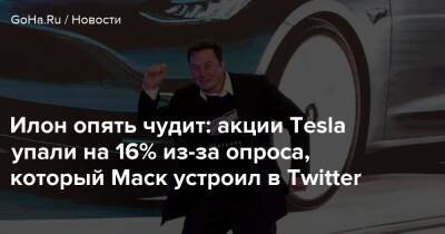 Илон Маск - Крис Робертс - Илон опять чудит: акции Tesla упали на 16% из-за опроса, который Маск устроил в Twitter - goha.ru