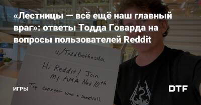 Тодд Говард - «Лестницы — всё ещё наш главный враг»: ответы Тодда Говарда на вопросы пользователей Reddit — Игры на DTF - dtf.ru