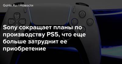 Хироки Тотоки - Sony сокращает планы по производству PS5, что еще больше затруднит ее приобретение - goha.ru