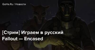 [Стрим] Играем в русский Fallout — Encased - goha.ru