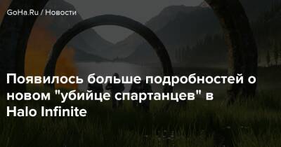 Появилось больше подробностей о новом "убийце спартанцев" в Halo Infinite - goha.ru