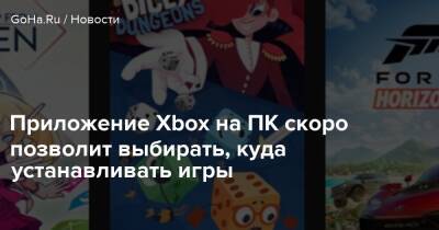 Приложение Xbox на ПК скоро позволит выбирать, куда устанавливать игры - goha.ru