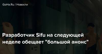 Разработчик Sifu на следующей неделе обещает "большой анонс" - goha.ru