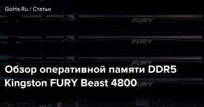 Обзор оперативной памяти DDR5 Kingston FURY Beast 4800 - goha.ru - Kingston