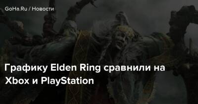 Графику Elden Ring сравнили на Xbox и PlayStation - goha.ru