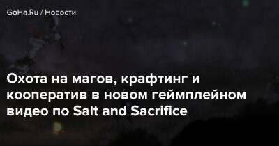 Охота на магов, крафтинг и кооператив в новом геймплейном видео по Salt and Sacrifice - goha.ru - Sanctuary