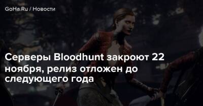 Серверы Bloodhunt закроют 22 ноября, релиз отложен до следующего года - goha.ru