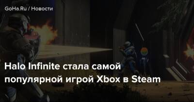 Даниэль Ахмада - Halo Infinite стала самой популярной игрой Xbox в Steam - goha.ru