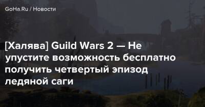 Бобби Котик - [Халява] Guild Wars 2 — Не упустите возможность бесплатно получить четвертый эпизод ледяной саги - goha.ru