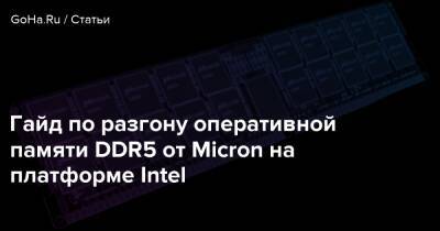 Гайд по разгону оперативной памяти DDR5 от Micron на платформе Intel - goha.ru - Россия - Kingston