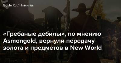 «Гребаные дебилы», по мнению Asmongold, вернули передачу золота и предметов в New World - goha.ru