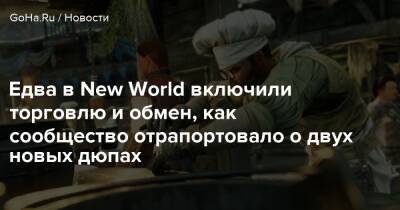 Едва в New World включили торговлю и обмен, как сообщество отрапортовало о двух новых дюпах - goha.ru