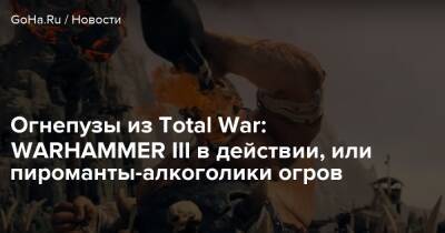 Огнепузы из Total War: WARHAMMER III в действии, или пироманты-алкоголики огров - goha.ru