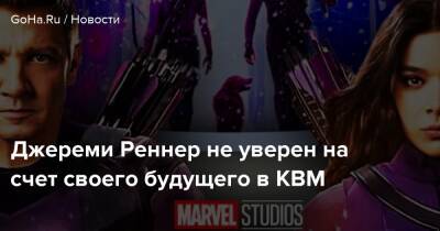 Джереми Реннер - Клинт Бартон - Джереми Реннер не уверен на счет своего будущего в КВМ - goha.ru
