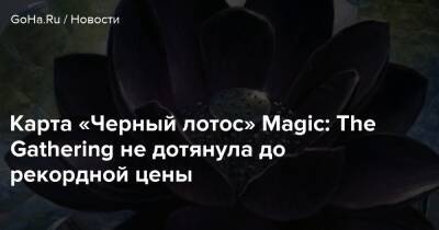 Карта «Черный лотос» Magic: The Gathering не дотянула до рекордной цены - goha.ru