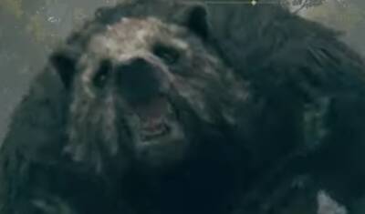 В Elden Ring обошли ограничение и показали скрытый контент: огромного медведя и босса - ps4.in.ua