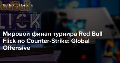 Мировой финал турнира Red Bull Flick по Counter-Strike: Global Offensive - goha.ru - Финляндия - Хельсинки - Kingston