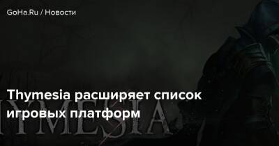 Thymesia расширяет список игровых платформ - goha.ru