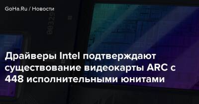 Драйверы Intel подтверждают существование видеокарты ARC с 448 исполнительными юнитами - goha.ru - Евросоюз