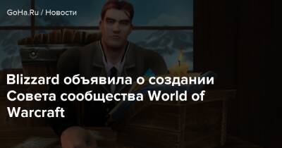 Blizzard объявила о создании Совета сообщества World of Warcraft - goha.ru - Азерот