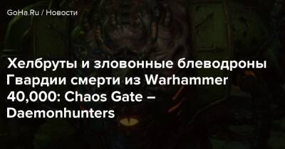 Хелбруты и зловонные блеводроны Гвардии смерти из Warhammer 40,000: Chaos Gate – Daemonhunters - goha.ru