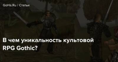 В чем уникальность культовой RPG Gothic? - goha.ru - Снг