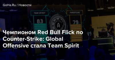 Чемпионом Red Bull Flick по Counter-Strike: Global Offensive стала Team Spirit - goha.ru - Финляндия - Хельсинки