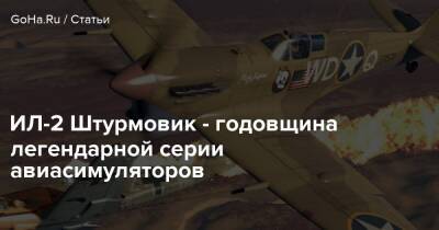 ИЛ-2 Штурмовик - годовщина легендарной серии авиасимуляторов - goha.ru - Снг