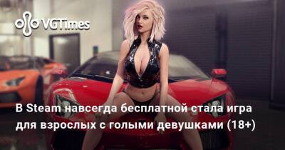 В Steam навсегда бесплатной стала игра для взрослых с голыми девушками (18+) - vgtimes.ru