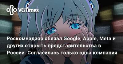Роскомнадзор обязал Google, Apple, Meta и других открыть представительства в России. Согласилась только одна компания - vgtimes.ru - Россия