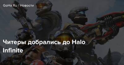 Читеры добрались до Halo Infinite - goha.ru