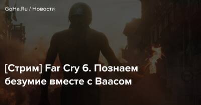 Антон Кастильо - Навид Кавари - [Стрим] Far Cry 6. Познаем безумие вместе с Ваасом - goha.ru - Сша - штат Монтана - county Van Buren