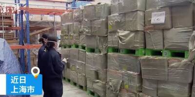 В Шанхае задержали 7,6 тонны поддельных покемонов (почти) - tech.onliner.by - Китай - Голландия - Шанхай