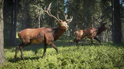 В Epic Games Store началась раздача симулятора охоты theHunter: Call of the Wild - stopgame.ru