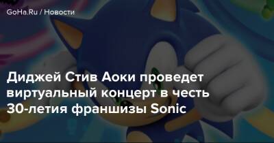 Диджей Стив Аоки проведет виртуальный концерт в честь 30-летия франшизы Sonic - goha.ru