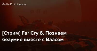 Антон Кастильо - Навид Кавари - [Стрим] Far Cry 6. Познаем безумие вместе с Ваасом - goha.ru - Сша - штат Монтана